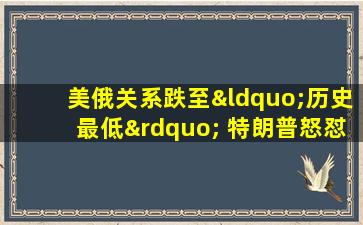 美俄关系跌至“历史最低” 特朗普怒怼国会:都是你的错